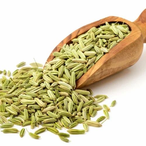 Fennel